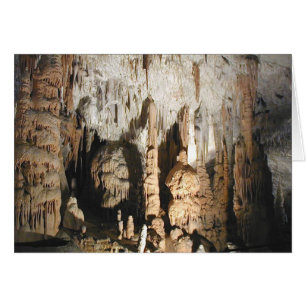 Cartão Postojna Caves