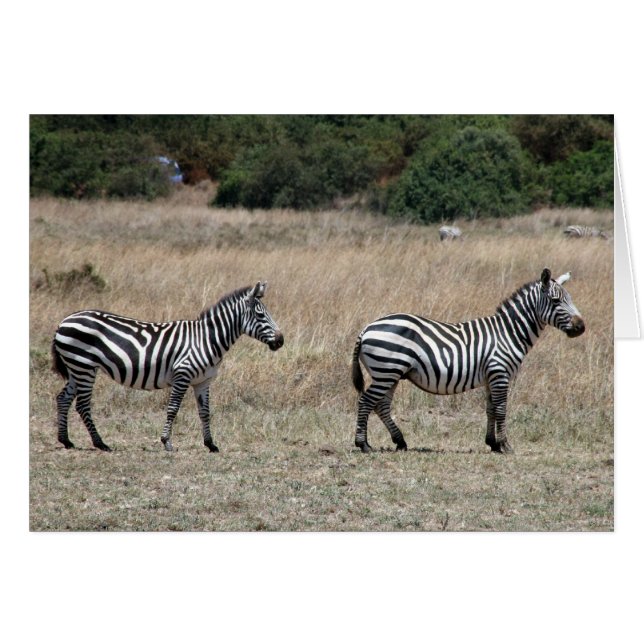 Cartão postura zebras (Frente Horizontal)