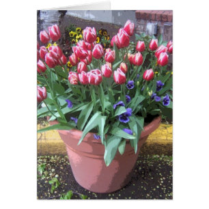 Cartão Pote primavera Tulip Clay