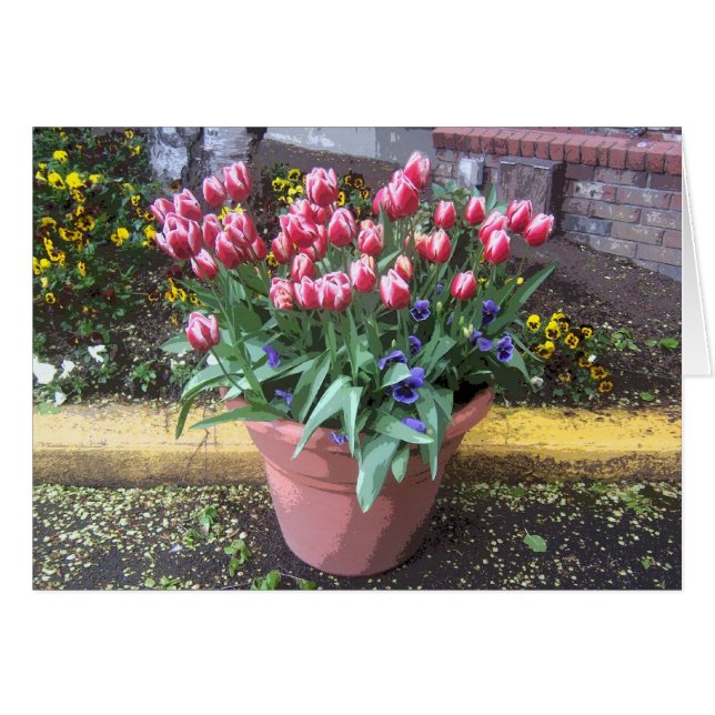 Cartão Pote primavera Tulip Clay (Frente Horizontal)