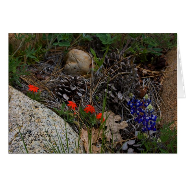 Cartão Potpourri (Frente Horizontal)