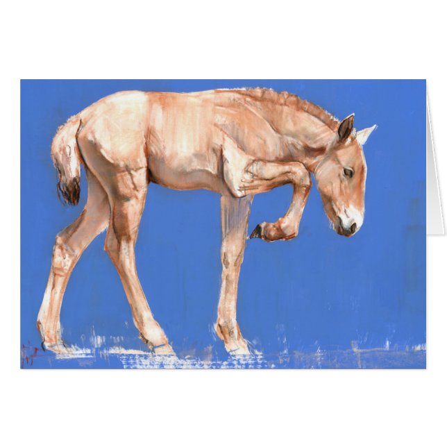 Cartão Potro 2012 de Przewalski (Frente Horizontal)