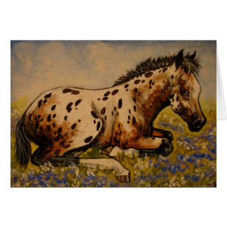 Cartão Potro do Appaloosa