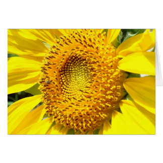 Cartão Pouca abelha do mel