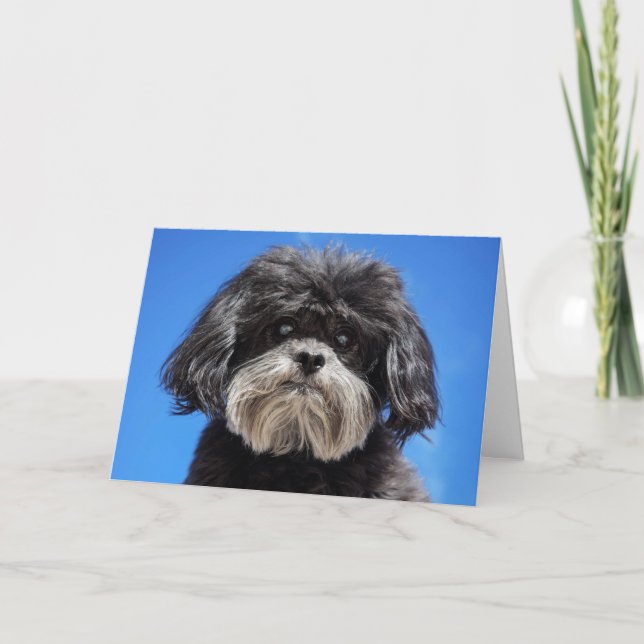 Cartão Pouco amor (Frente)