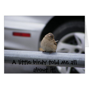 Cartão Pouco Birdy (customizável!)