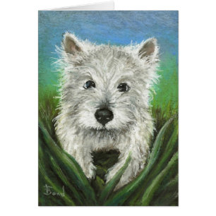 Cartão Pouco Westie que joga na grama