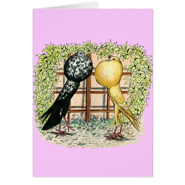 Cartão Pouter: Brunners (Frente)