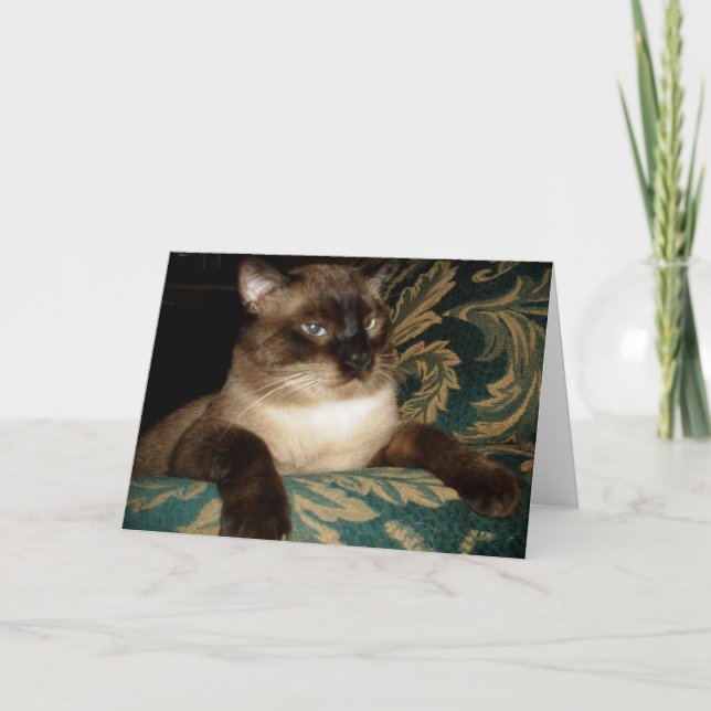 Cartão Pouty Face Siamese Cat Note Card (Frente)