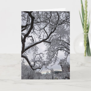 Cartão Praça Lafayette, árvores de neve