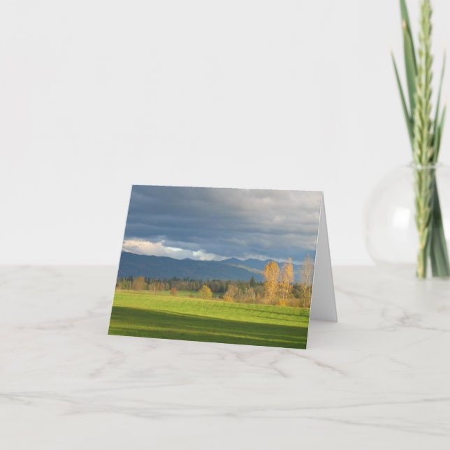 Cartão Prado de StormLit (Frente)