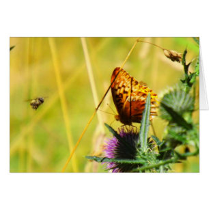 Cartão Prado ocupado