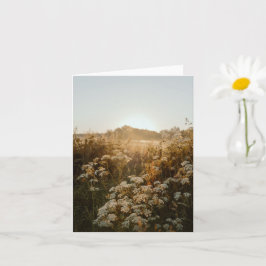 Cartão Prado sereno ao nascer do sol