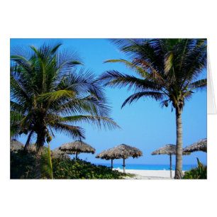 Cartão Praia Arenosa Com Palmeiras e Vista Para o Oceano