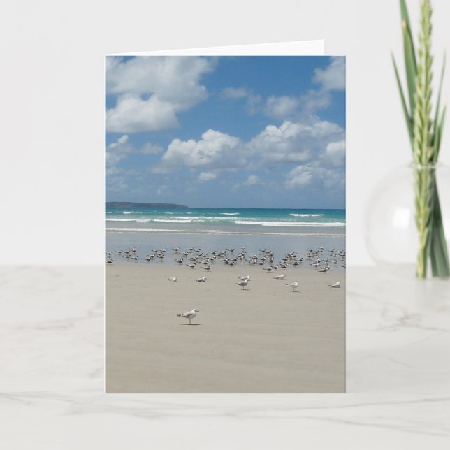 Cartão Praia com gaivotas (Frente)