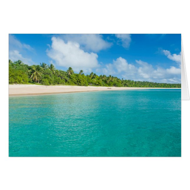 Cartão Praia com palmeiras, Tonga (Frente Horizontal)