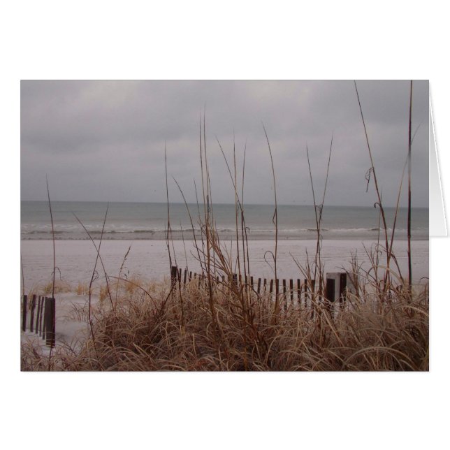 Cartão Praia da Neve (Frente Horizontal)