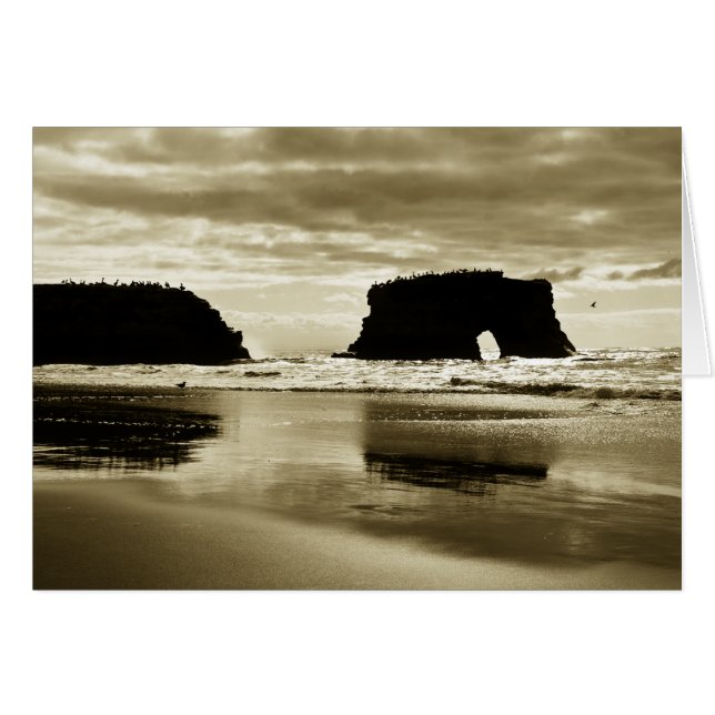 Cartão Praia de estado natural das pontes (Frente Horizontal)