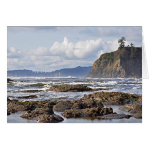 Cartão Praia na península olímpica, Washington do rubi