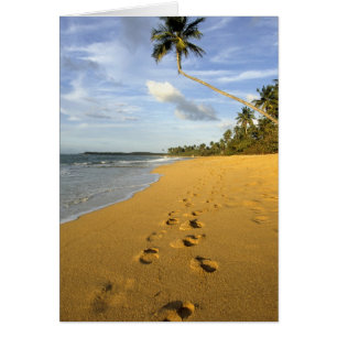 Cartão Praia Porto Rico