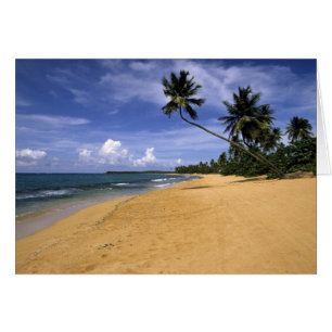 Cartão Praia Porto Rico 2