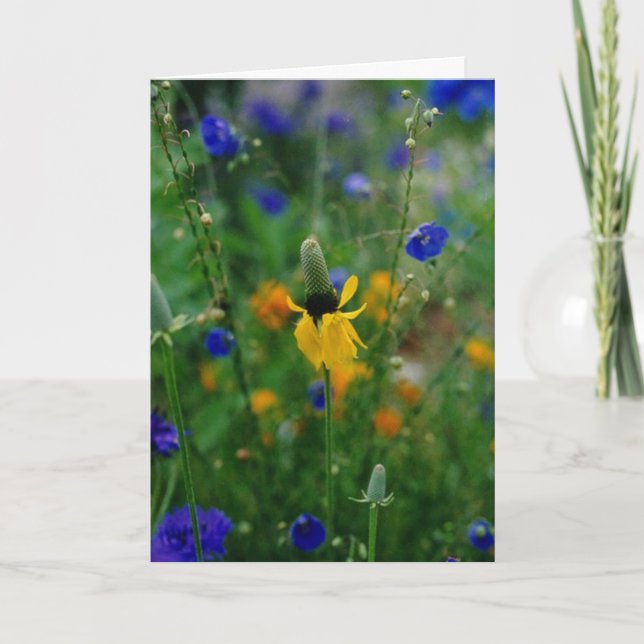 Cartão Prairie Coneflower - aniversário (Frente)