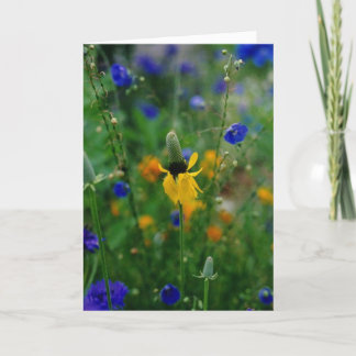 Cartão Prairie Coneflower - aniversário