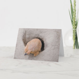 Cartão Prairie Dog Bumbum