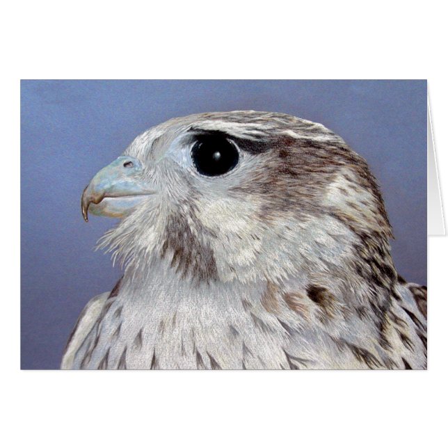 Cartão Prairie Falcon (Frente Horizontal)