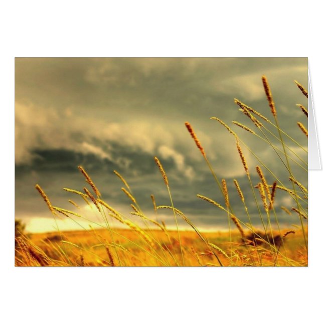 Cartão Prairie Grass (Frente Horizontal)