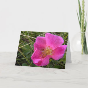 Cartão Prairie Rose Note Card