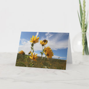 Cartão Prairie Sunset Greeting Card