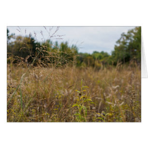 Cartão Prairie Supercultivada