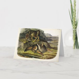 Cartão Prairie Wolf (Coyote) dos Quadrupeds de Audubon