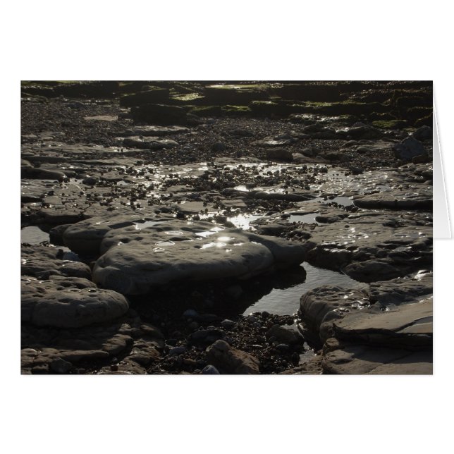 Cartão Prata Rápida (Frente Horizontal)