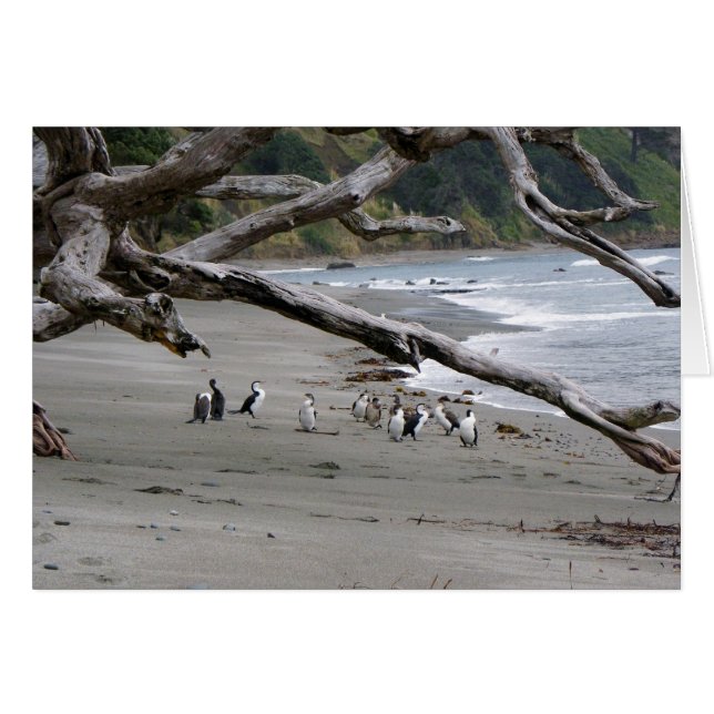 Cartão Prateados na praia (Frente Horizontal)