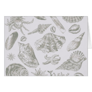 Cartão Prateleiras de Arte Suave de Seashell