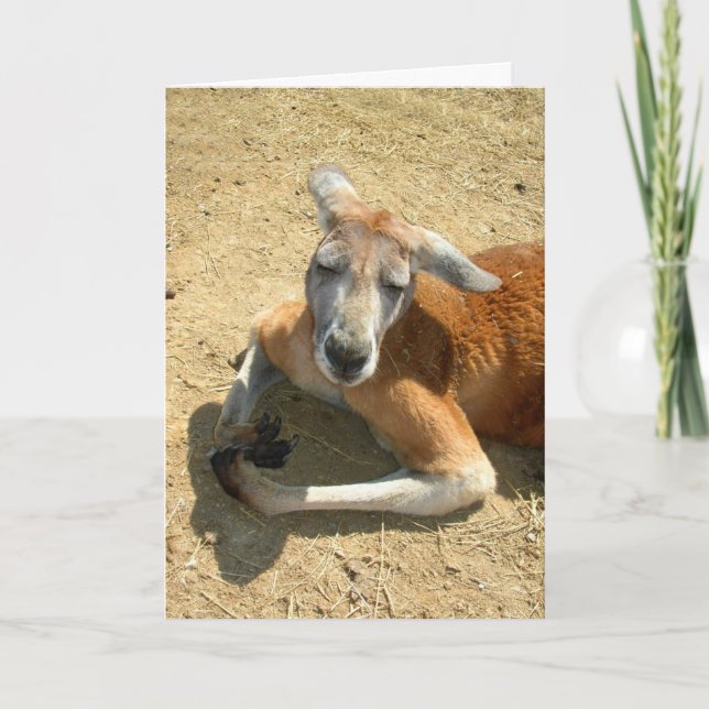 Cartão praying do canguru (Frente)