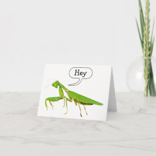 Cartão Praying Mantis Says Hey Notecard