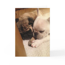 Praying para uma recuperação rápida