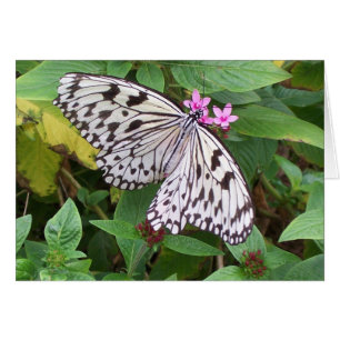 Cartão Prazer delicado 1