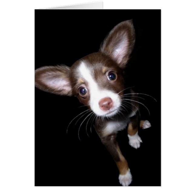 Cartão Precioso (Frente)