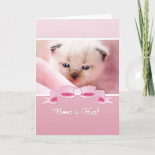 Cartão Precise um abraço, gatinho Siamese, incentivo do