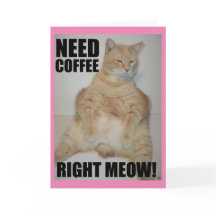 PRECISO DE CAFÉ AGORA! Gato Manx Sentado Engraçado