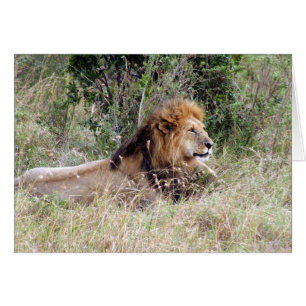 Cartão prego de leão