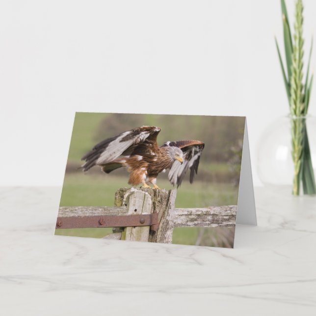 Cartão Prepare para descolam (Frente)