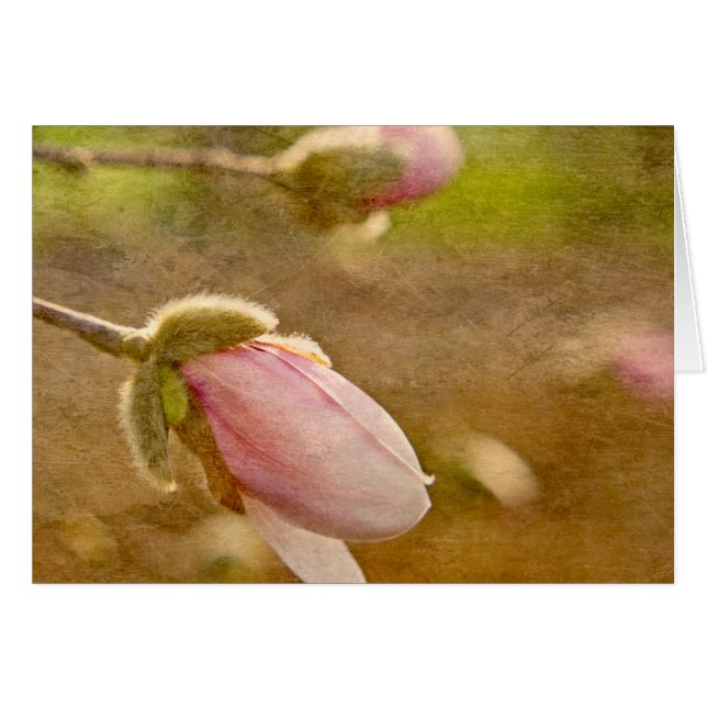 Cartão Presente da Esperança (Frente Horizontal)