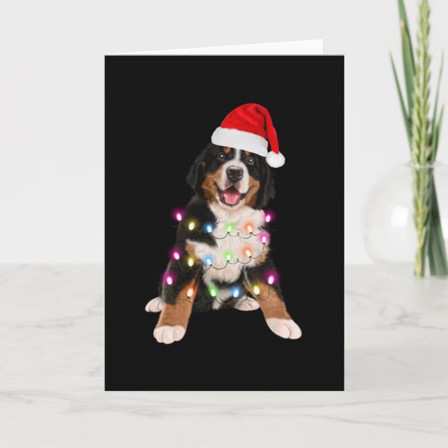 Cartão presente de cachorrinho bernês de natal (Frente)