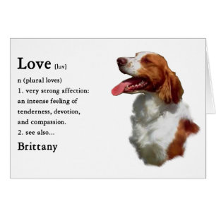 Cartão Presentes Brittany Spaniel