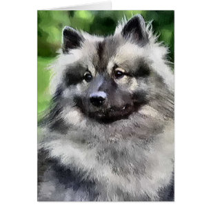 Cartão Presentes da arte do Keeshond